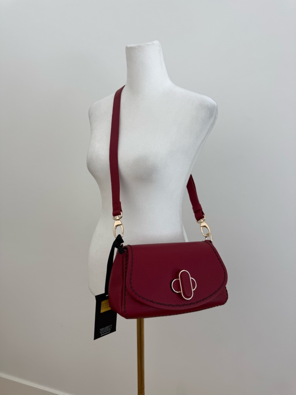 Plinio Visona Italia Red Leather Crossbody Bag Gold Hardware Turn Lock NWT - Picture 2 of 8